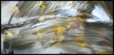 vesi 2 * Tr�skendan luonnonsuojelualueella. * 800 x 391 * (185KB)